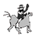 Masked Cowboy